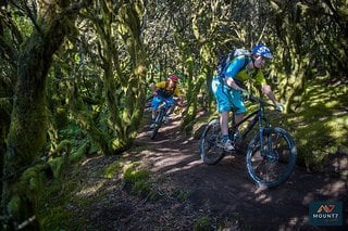 E Biken el hierro