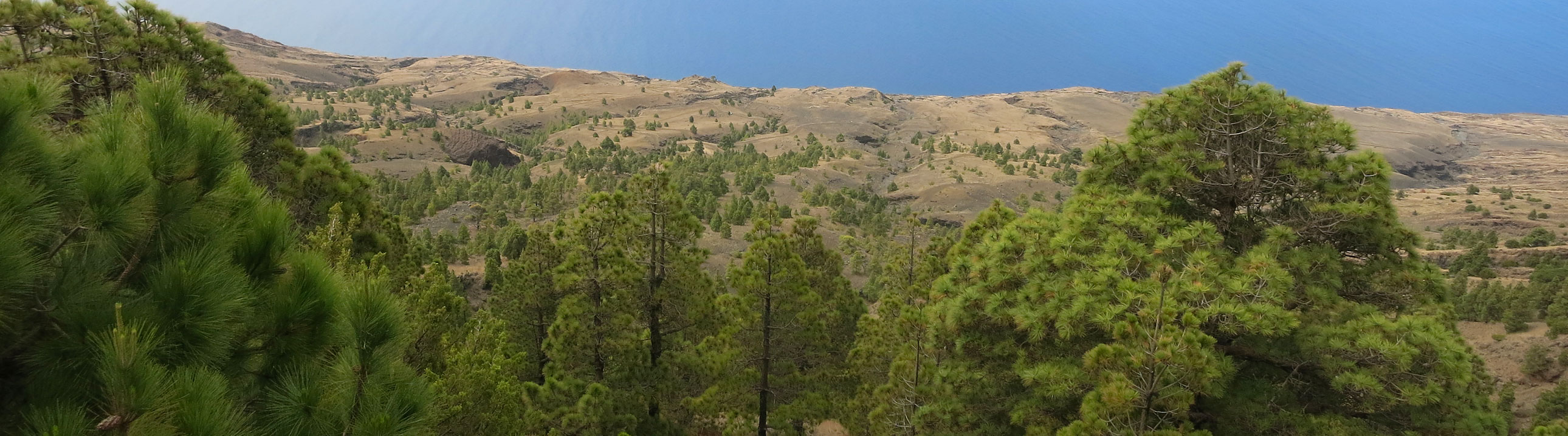Elhierrotäler